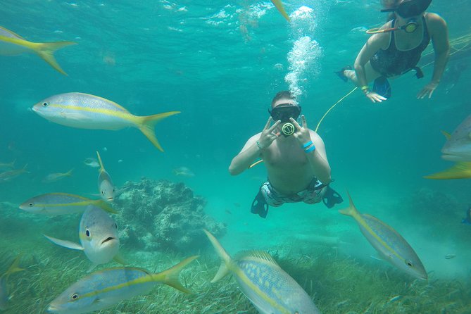 3 ADVENTURES: Sailing Catamaran Cruise - Hooka Diving - Snorkeling - Common Questions