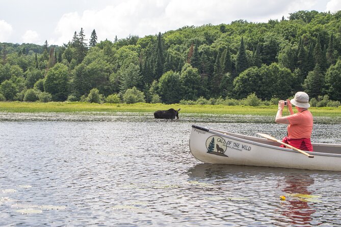 3-Day Algonquin Park Canoe Trip - What to Expect and Important Information