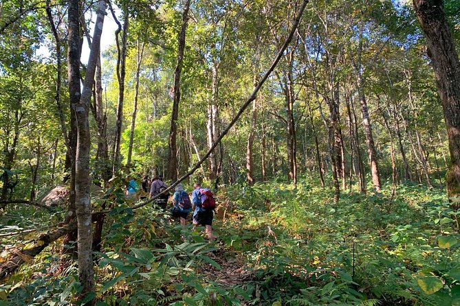 3-Day Chiang Dao Mountain Trek - Trekking Experience