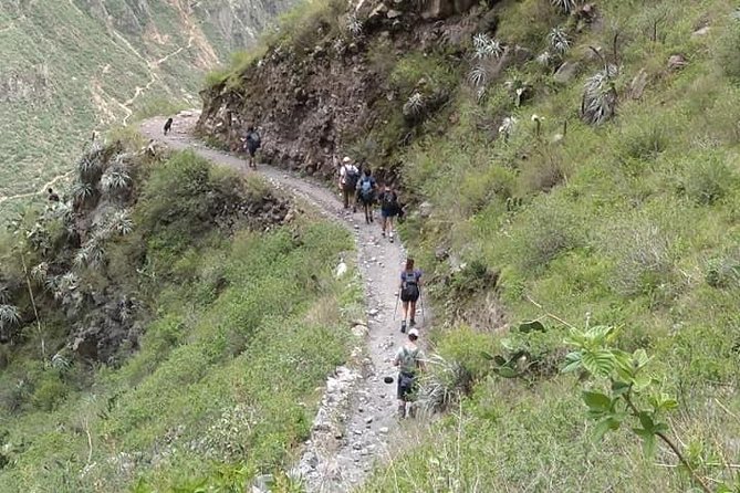 3-Day Custom Colca Canyon Trek From Arequipa - Itinerary