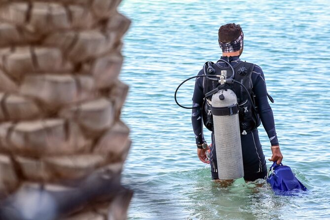 3-Day PADI Open Water Diving Course in Dubai - Reviews