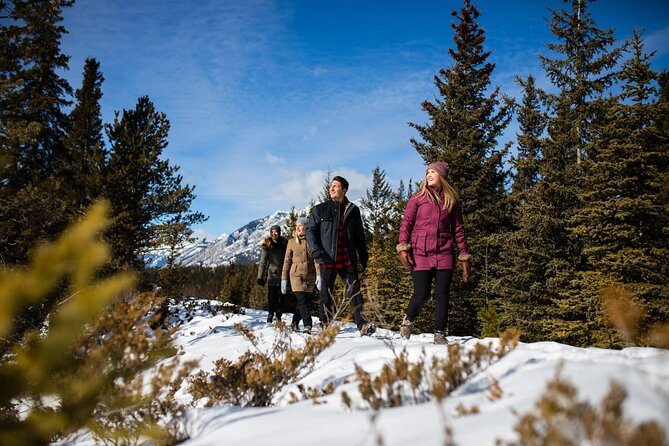 3 Day Rocky Mountains Tour, Banff & Yoho National Park (Free Airport Transfer) - The Sum Up