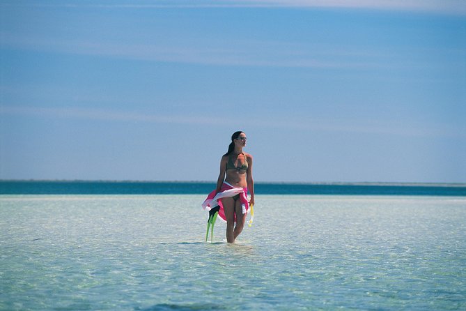 3-Day Small-Group Eco-Tour From Adelaide: Southern Yorke Peninsula - The Sum Up