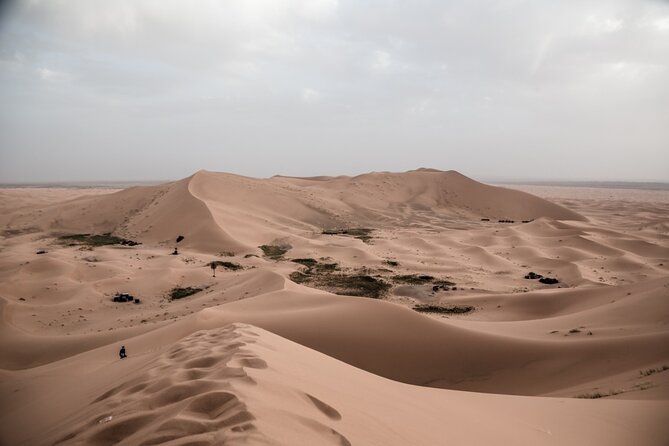 3 Days 2 Nights Desert Tour From Fes to Marrakech via Erg Chebbi - Accommodation and Meals