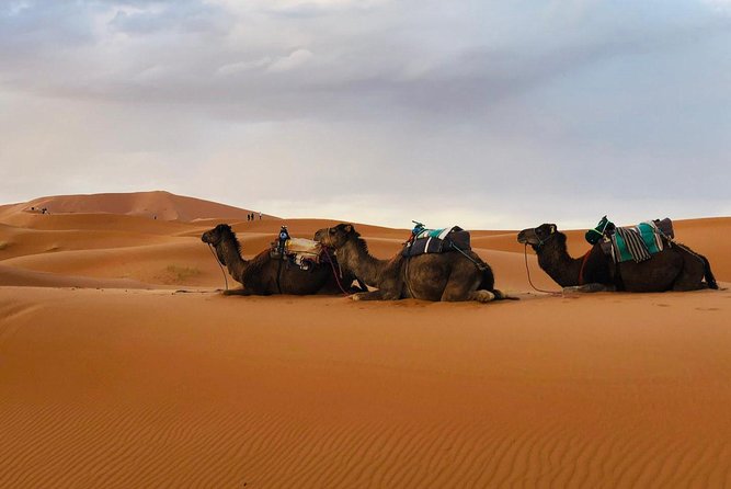 3 Days 2 Nights: Desert Tour From Fes to Marrakech - Day 1: Fes to Merzouga