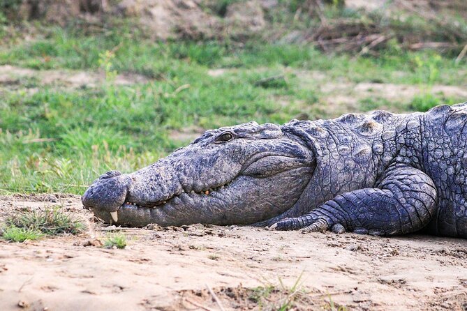 3 Days and 2 Nights Chitwan National Park Safari Tour in Pokhara - The Sum Up