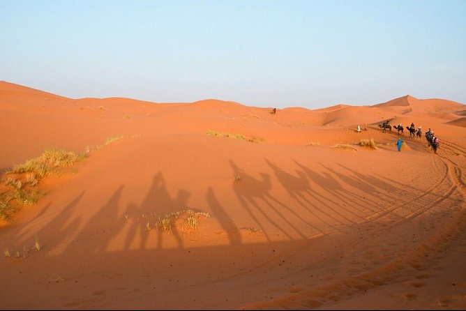 3 Days Desert Tour From Fes to Marrakech via Merzouga - Common Questions