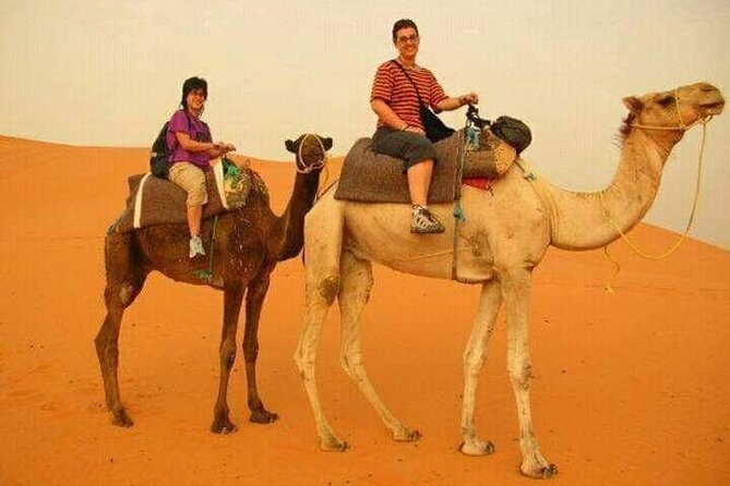 3 Days Luxury Desert Tour From Fes To Marrakech via Merzouga - The Sum Up