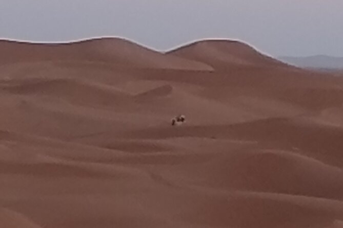 3 Days of Desert Adventures and Berber Encounters in Zagora - Common Questions