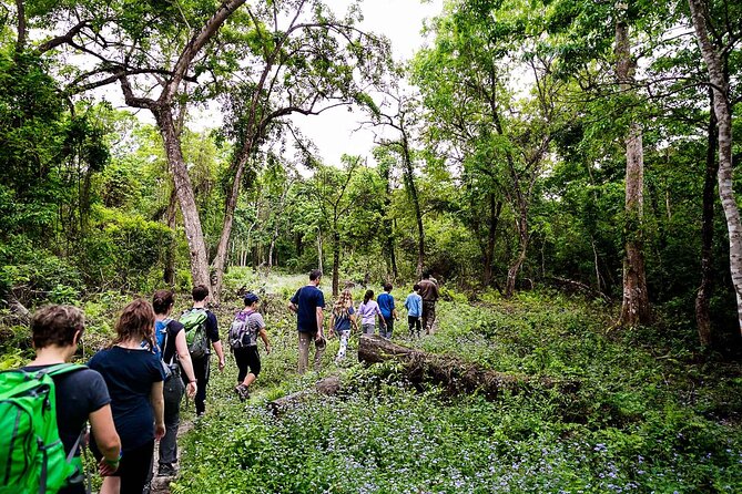 3-Days Tower Night Stay Inside Jungle Tour - Tour Highlights