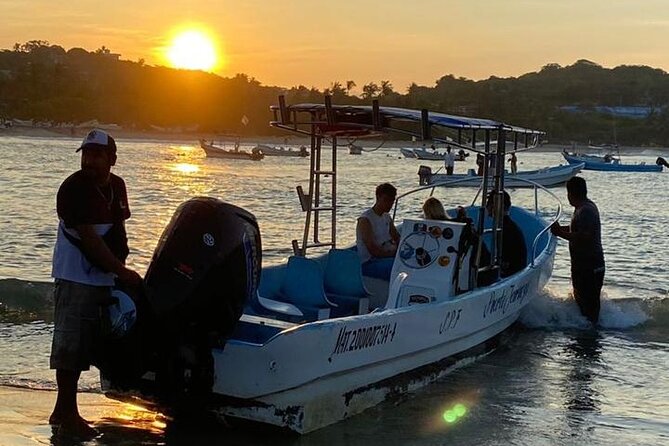 3-Hour Dolphin Watching Experience in Puerto Escondido - Additional Information