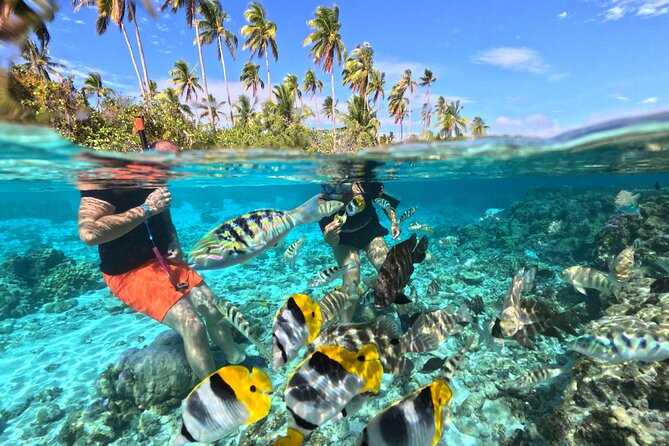 3 Hour Jetski Excursion Around Tahaa - The Sum Up