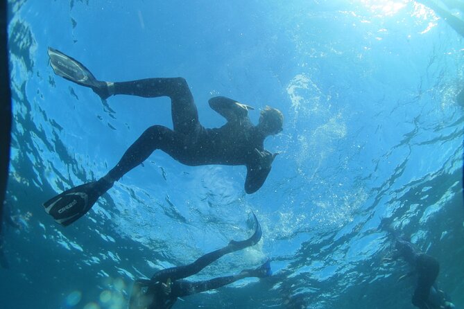 3-Hour Kayak and Snorkeling Experience in Batemans Bay - Directions