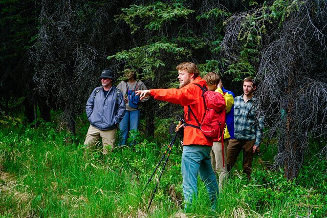 3 Hour Naturalist Walking Tour in Denali National Park - Cancellation and Refund Policy