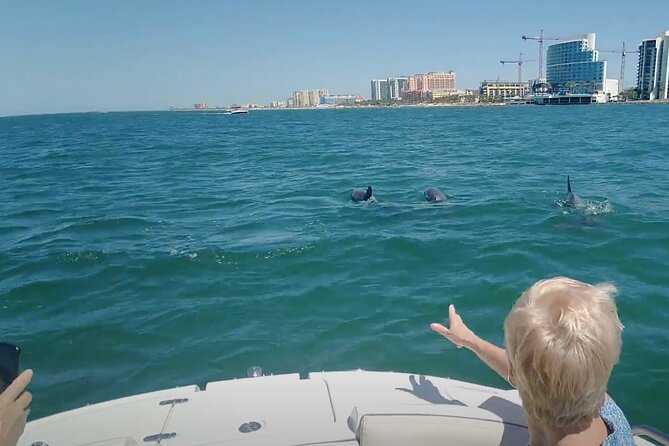 3-hour Private Boat Tour in Clearwater Florida Up to 6 People - Questions and Contact Information