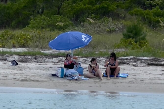 3 Hour Snorkeling, Shelling in St. Petersburg, FL, (Private Boat) - Captivating Coastal Scenery