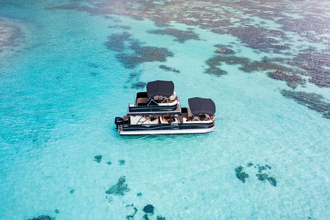 3-Hour Snorkeling Tour - Snorkeling Experience Highlights