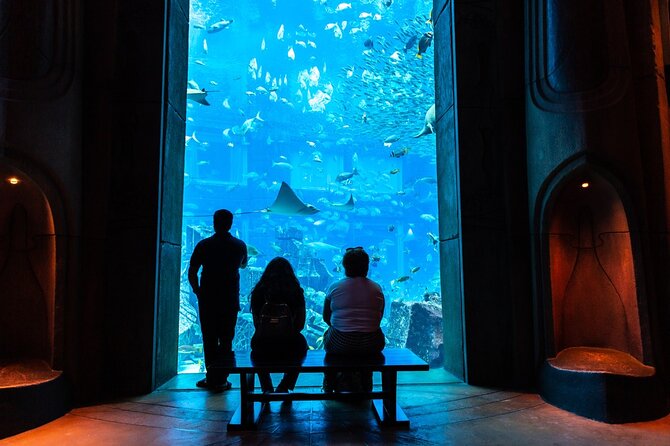3-Hour the Lost Chambers Aquarium Tickets With Pick and Drop off - How to Contact Viator for Assistance