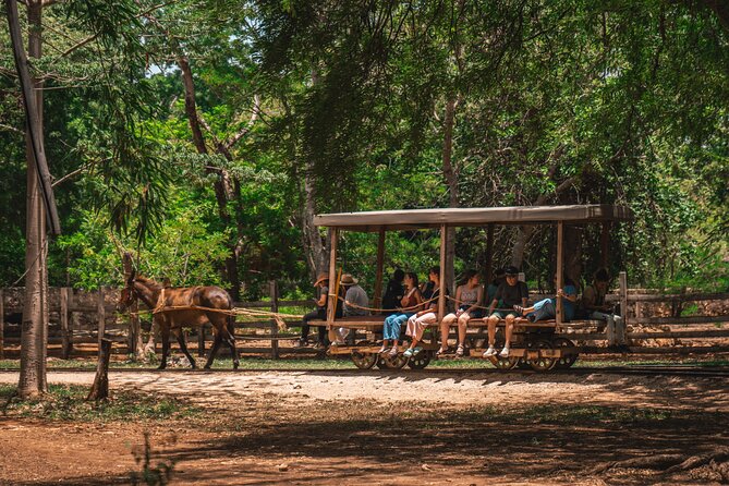 3 Hour Tour in the Sotuta De Peón Live Museum - Cancellation Policy
