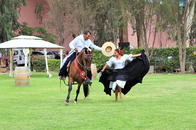 3-Hour Wine and Pisco Tour / Tacama and El Catador - Lunch Option