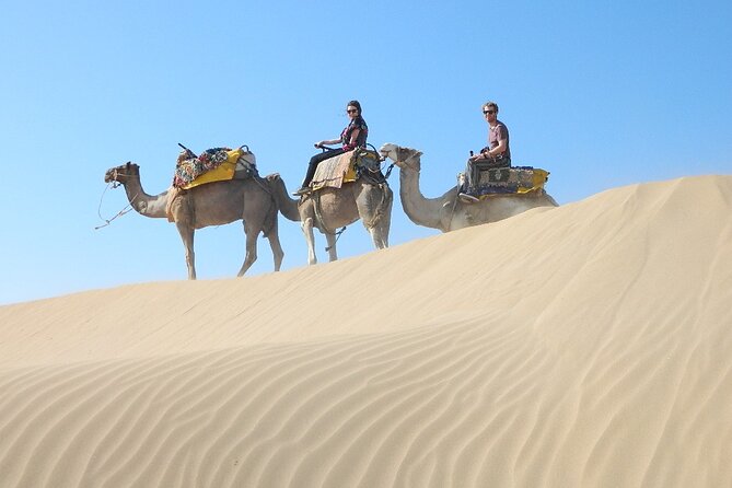 3 Hours Camel Ride in Essaouira, Beach and Dunes - The Sum Up