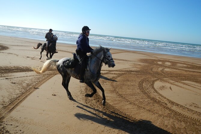 3 Hours Horse Riding in Essaouira, Beach, Forest and Dunes - Common Questions