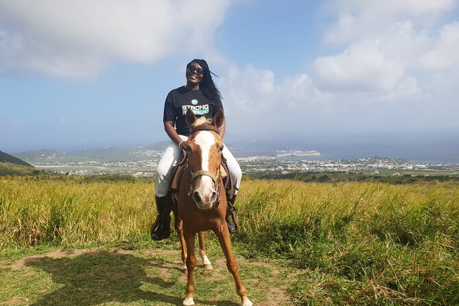 3 Hours Horseback Riding From Nature Trails to Sofa Stone - The Sum Up