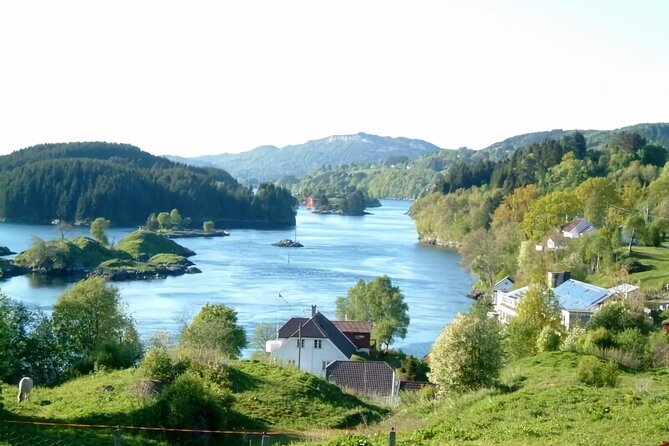 3 in 1 - Bergen Fjord Cruise, City Walk & Mt Flöyen Funicular - Common Questions