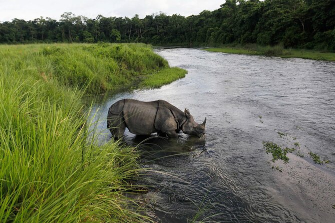 3 Nights 4 Days Chitwan National Park With Tower Night Stay - Reviews
