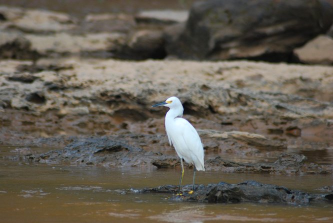 4-Day Amazon Jungle Tour at Eco Amazonia Lodge - Common Questions