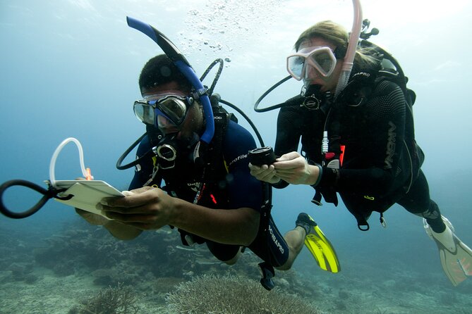 4 Day Certified PADI Open Water Scuba Diver in Dubai - The Sum Up
