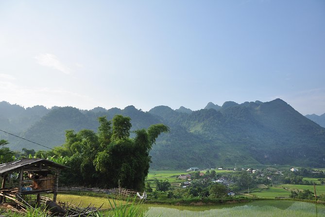 4-Day Jungle Trekking in Ba Be National Park - Itinerary and Expectations