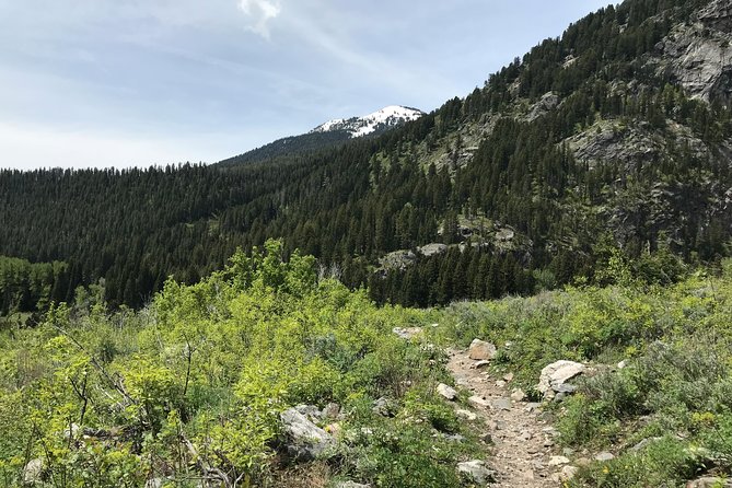 4-Day Small Group Tour: Yellowstone and Tetons Camping From Salt Lake City - Meeting and Pickup
