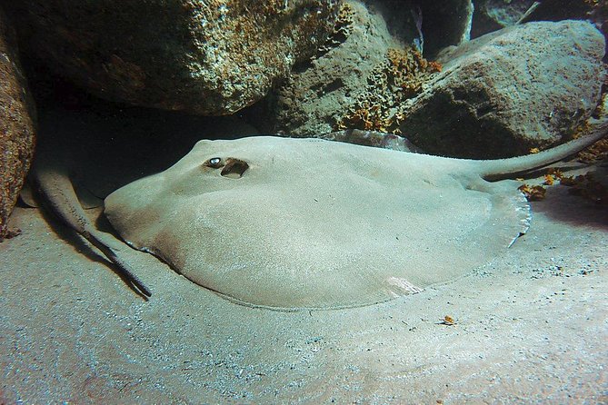 4 Diving Sites Scuba Diving Package in Gran Canaria - Additional Information