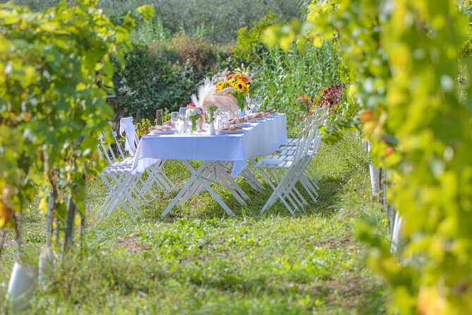 4 Heures Dîner Vignoble Sur La Côte D'azur - Common Questions