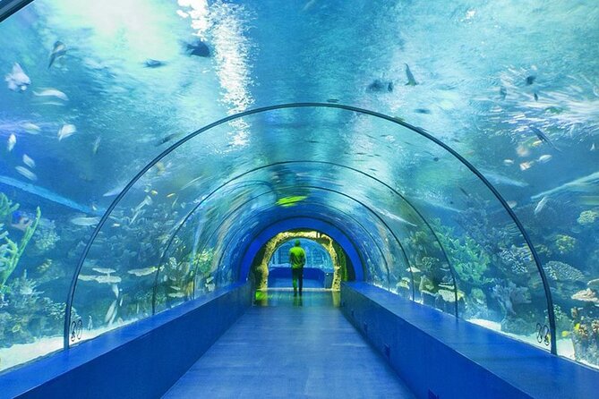 4-Hour Guided Antalya Aquarium Tour - Important Information for Tour Participants