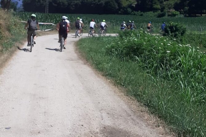 4-Hour Guided E-bike Tour of the Two Wineries in Bardolino - Visit the Second Winery