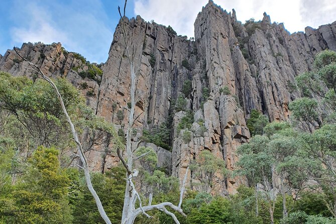 4-Hour Mt Wellington Arrival Tour With Organ Pipes Walk - Expert Guide Commentary