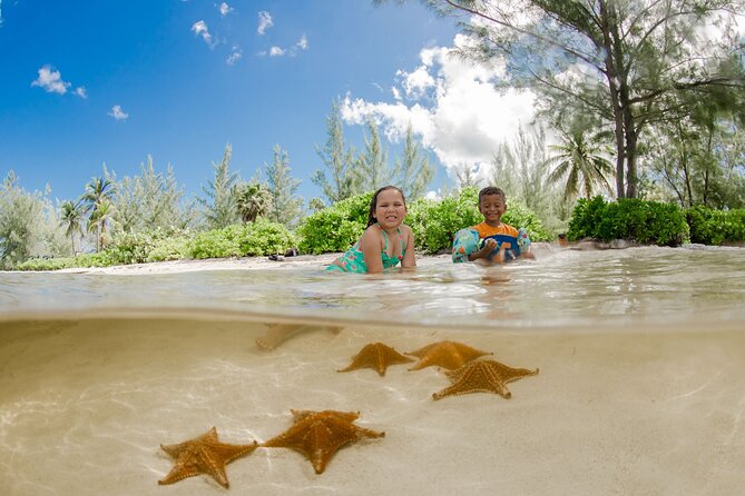 4 Hour Private Boat Charter to Stingray City, Snorkeling and More - The Sum Up