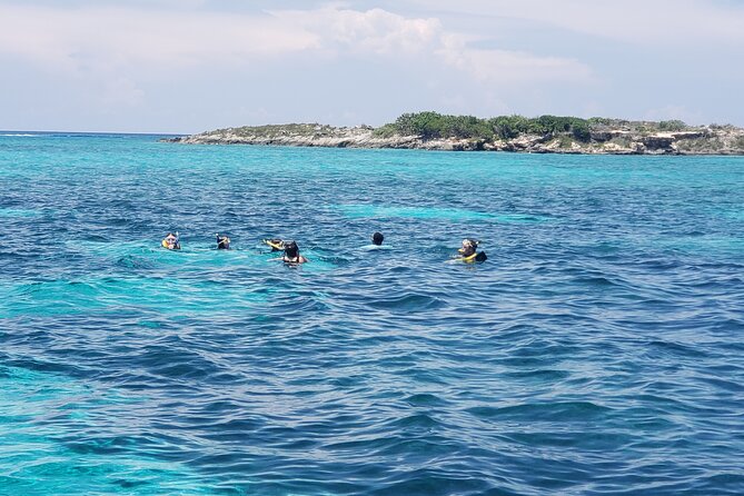 4 Hour Private Rose Island Tour Snorkeling Fishing - Common Questions