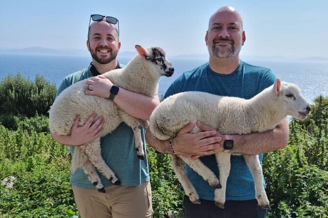 4 Hour Slea Head Drive Tour - Personal Chauffeur Guided Tour - Reviews