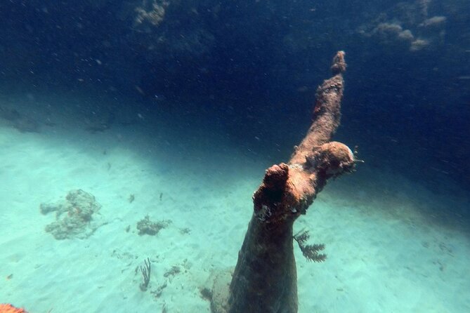 4-Hour Snorkel Cruise to Underwater Sculptures With Boat Dogs - Directions