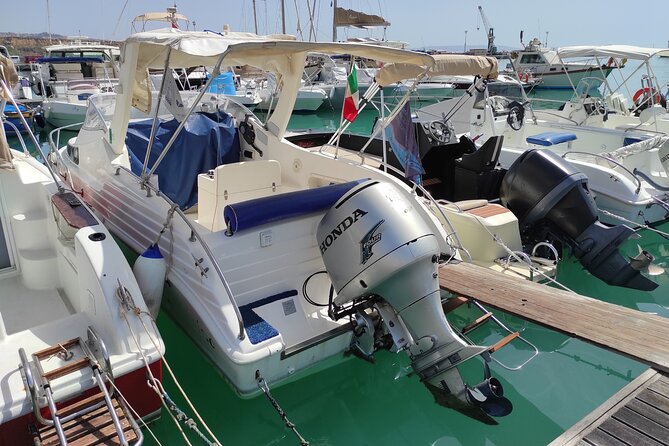4 Hours Dolphin Watching Tour in Porto Empedocle - The Sum Up