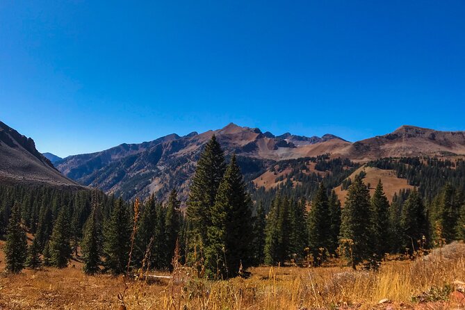 4 Hours Durango Colorado - Jeep Tour - The Sum Up
