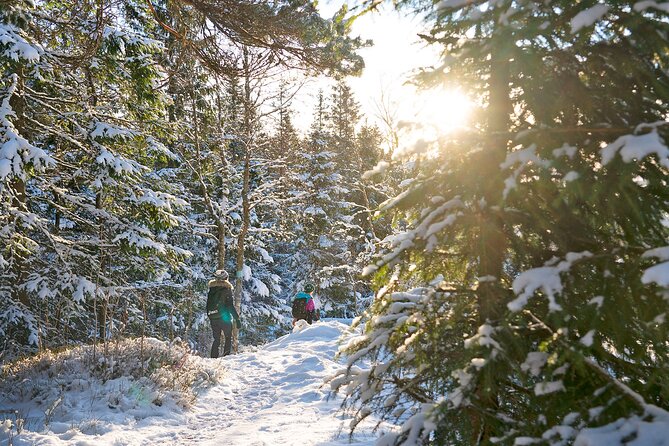 4 Hours Winter View of the Oslofjord Walk Tour - Tips for a Memorable Winter Walk in Oslofjord