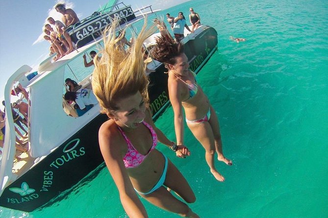 4hour Group Half Day Snorkeling Excursion in Grace Bay - Reviews and Viator Help Center for Feedback and Support