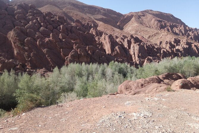 5 Days Private Tour From Casablanca to Fes and Sahara Desert - Traveler Reviews and Ratings