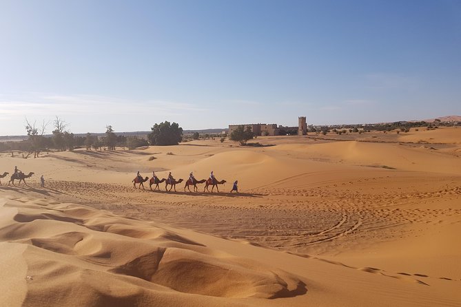 5 Days Tour From Fes - Common Questions