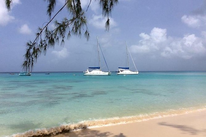 5-Hour Small-Group Catamaran Cruise From Bridgetown With Lunch - Food and Drinks