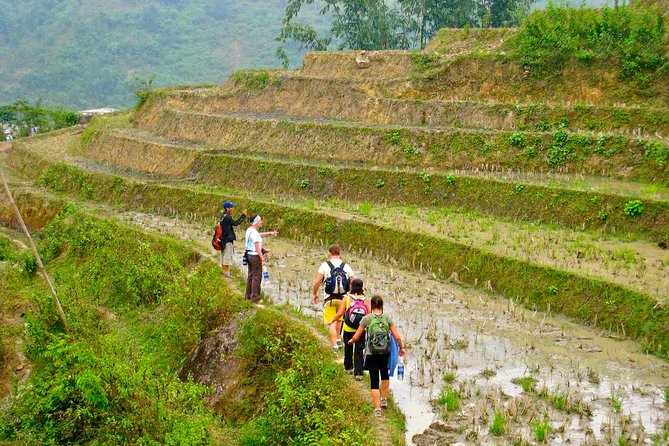 5days 4nights Lan Ha Bay-Sapa-Ninh Binhfree Airport Transfer &Street Food Tour - Common Questions